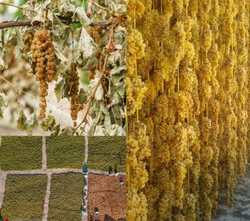 The ways to make raisins