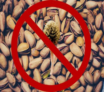 aflatoxin & health risks