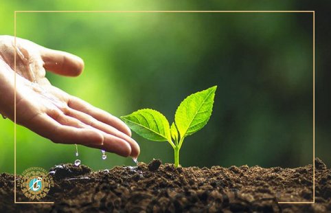 The best soil for planting then