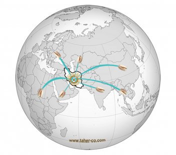 The Iranian Pistachio Industry (Trade)