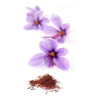 Saffron price hits $2600 per Kg in current Iranian year