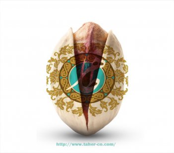 GERMANY BIGGEST BUYER OF IRANIAN PISTACHIO