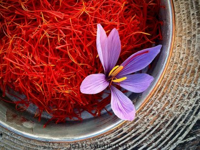 Saffron properties