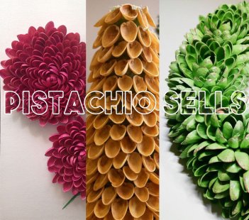 Reuse Pistachio Shells