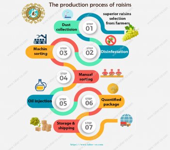 What are grapes? What are raisins?