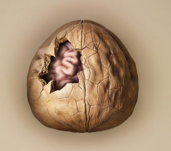 Going Nuts for Brain Health